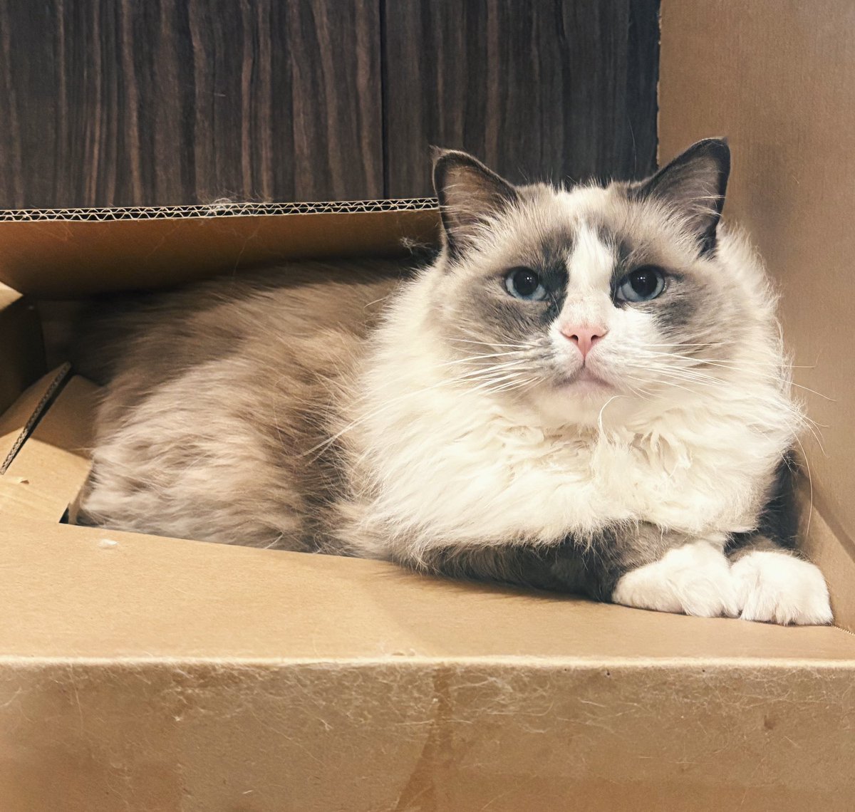 とんでもないキュートボーイだね〜🧢