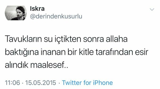 İT KÖPEK A.Ş. (@itkopekas_) on Twitter photo 