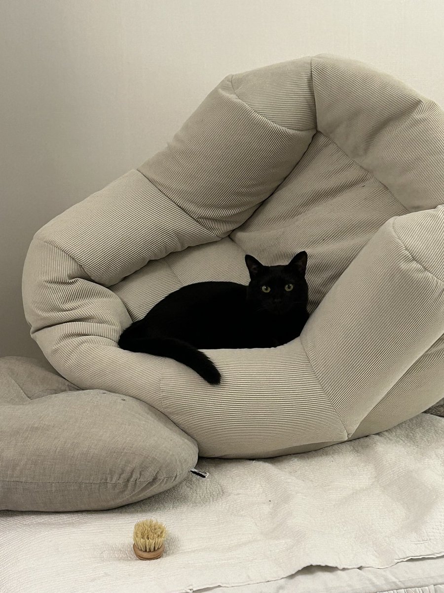 저희쇼파정상영업합니다