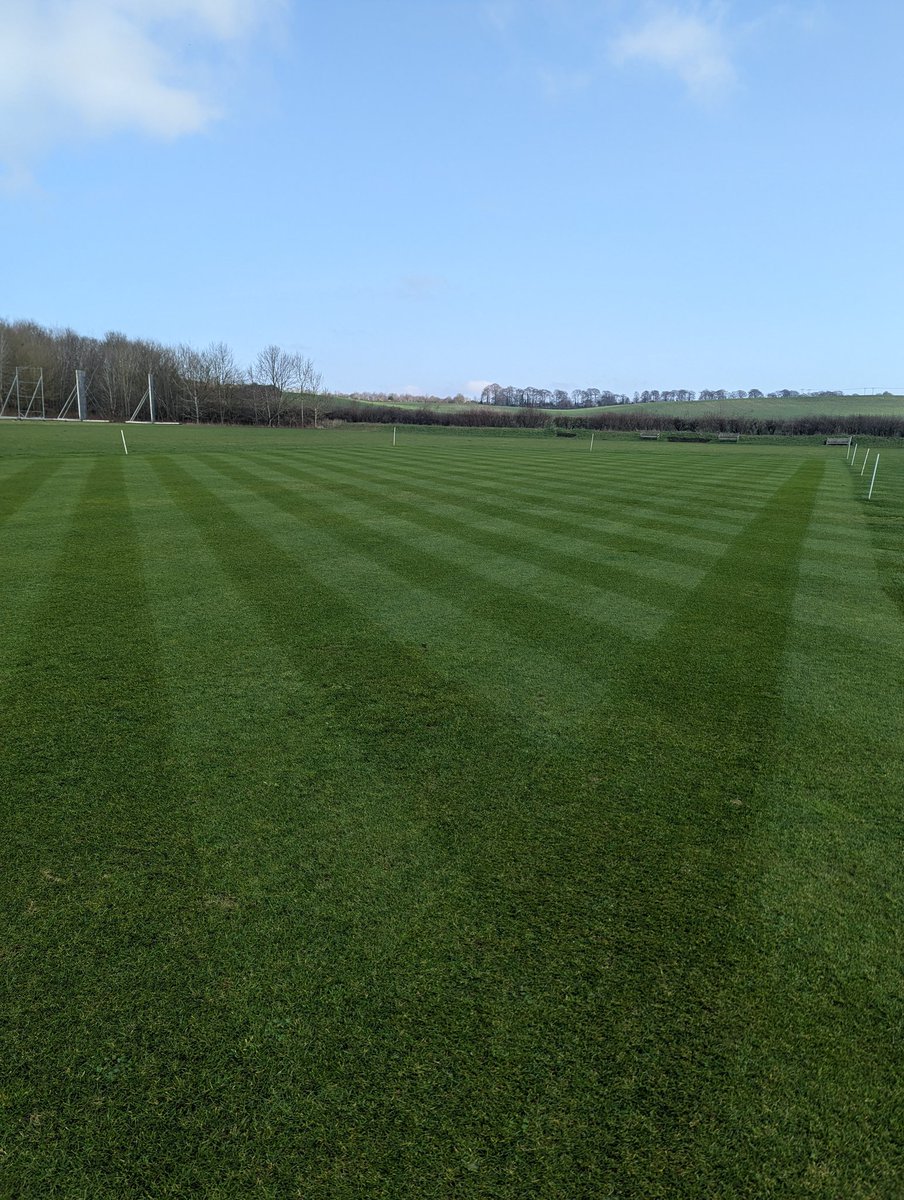 Truebounce tweet media