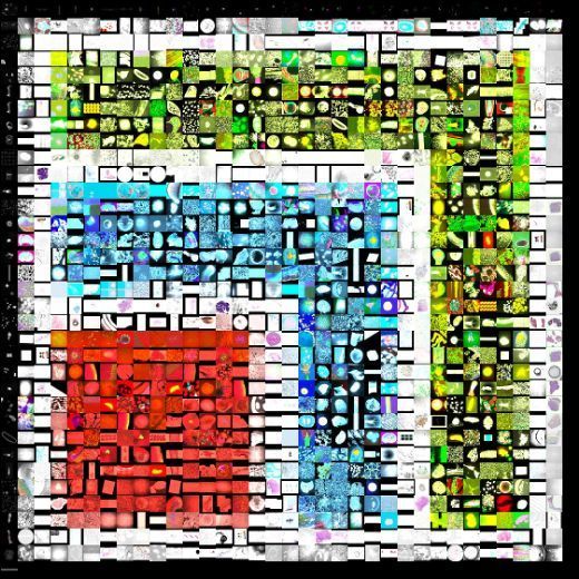 Euro-BioImaging ERIC tweet media