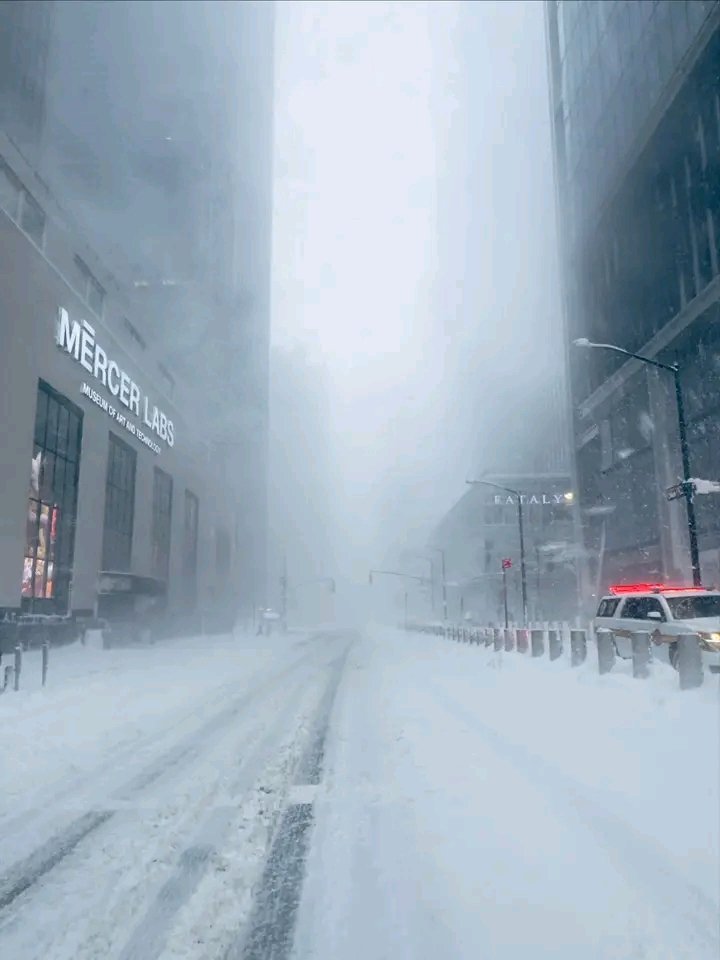luisa_holda's tweet photo. The snow storm on Monday morning was too much 🥶🇺🇸🤍 https://t.co/d1clPJ6MYS