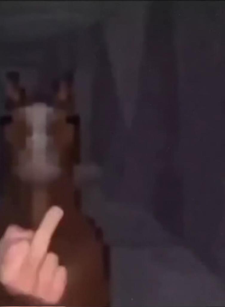 Dyslexic_Fox🦊 tweet media