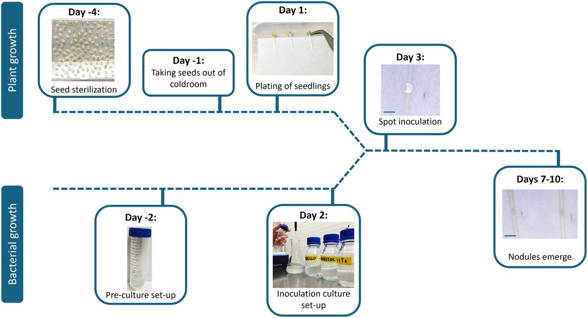 Sainsbury Laboratory Cambridge University (SLCU) tweet media