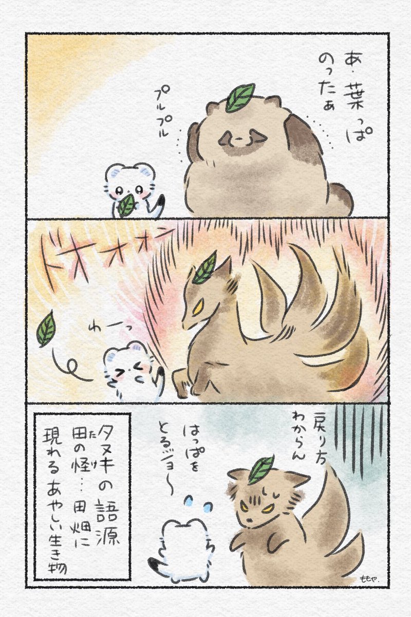 タヌキの語源🍃
#おこさまおこじょ #ゆるいイラスト #イラスト