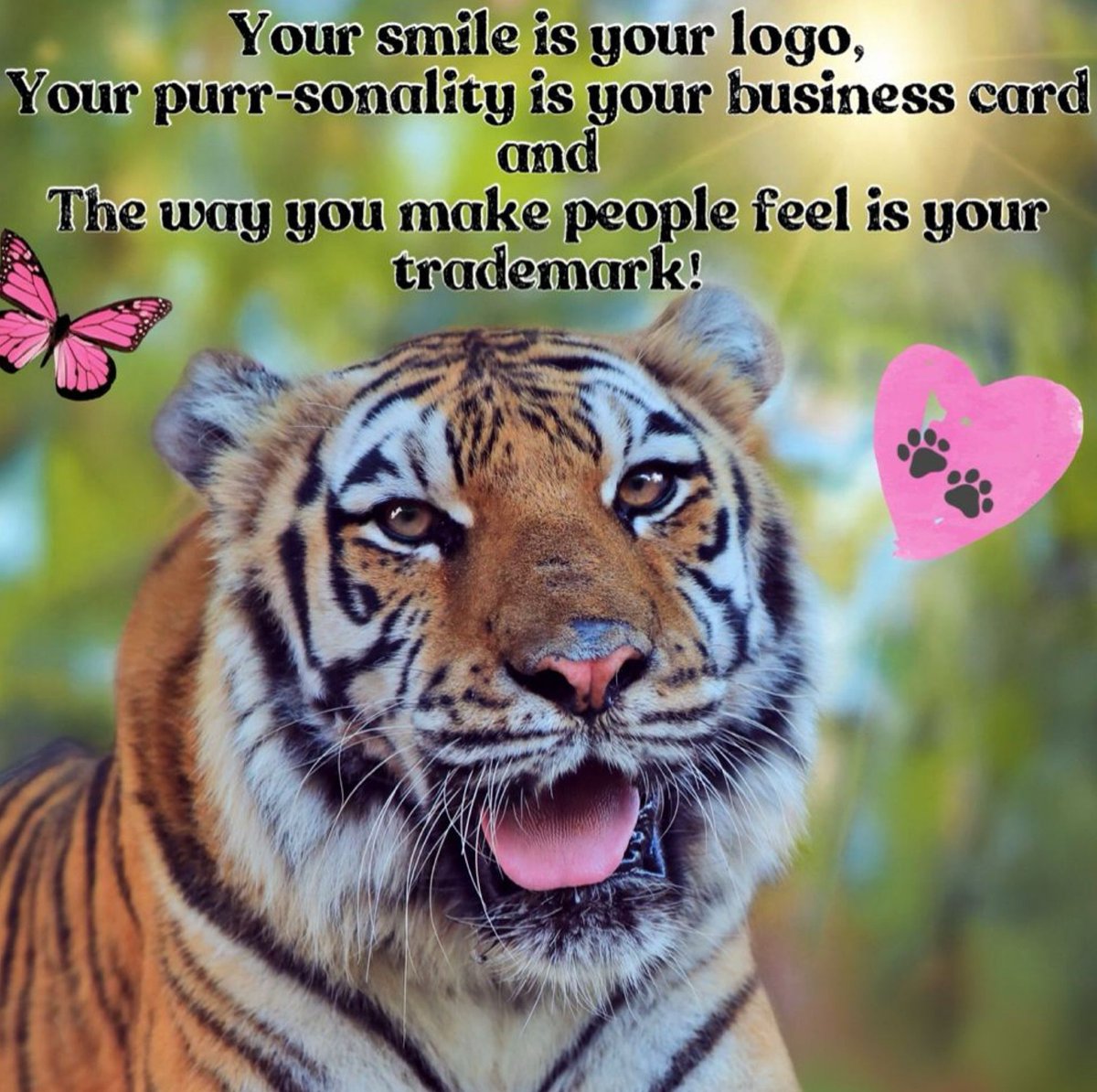 BigCatRescue's tweet photo. “Your smile is your logo, your purr-sonality is your business card and the way you make people feel is your trademark!”
#AriaTiger #BigCatRescue #Tiger #Smile #Personality #Happy #Quotes #Inspiration #InspirationalQuotes https://t.co/4nUlsbxgYI