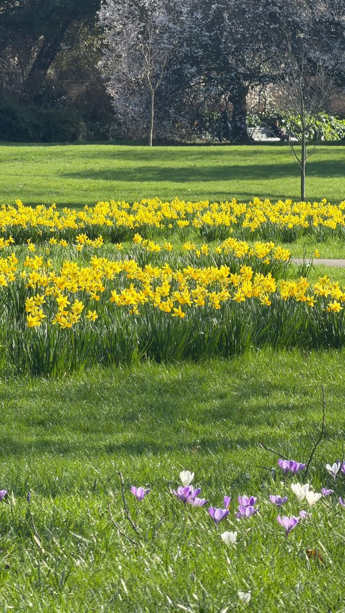 S. (@xsiwonchoix) on Twitter photo 