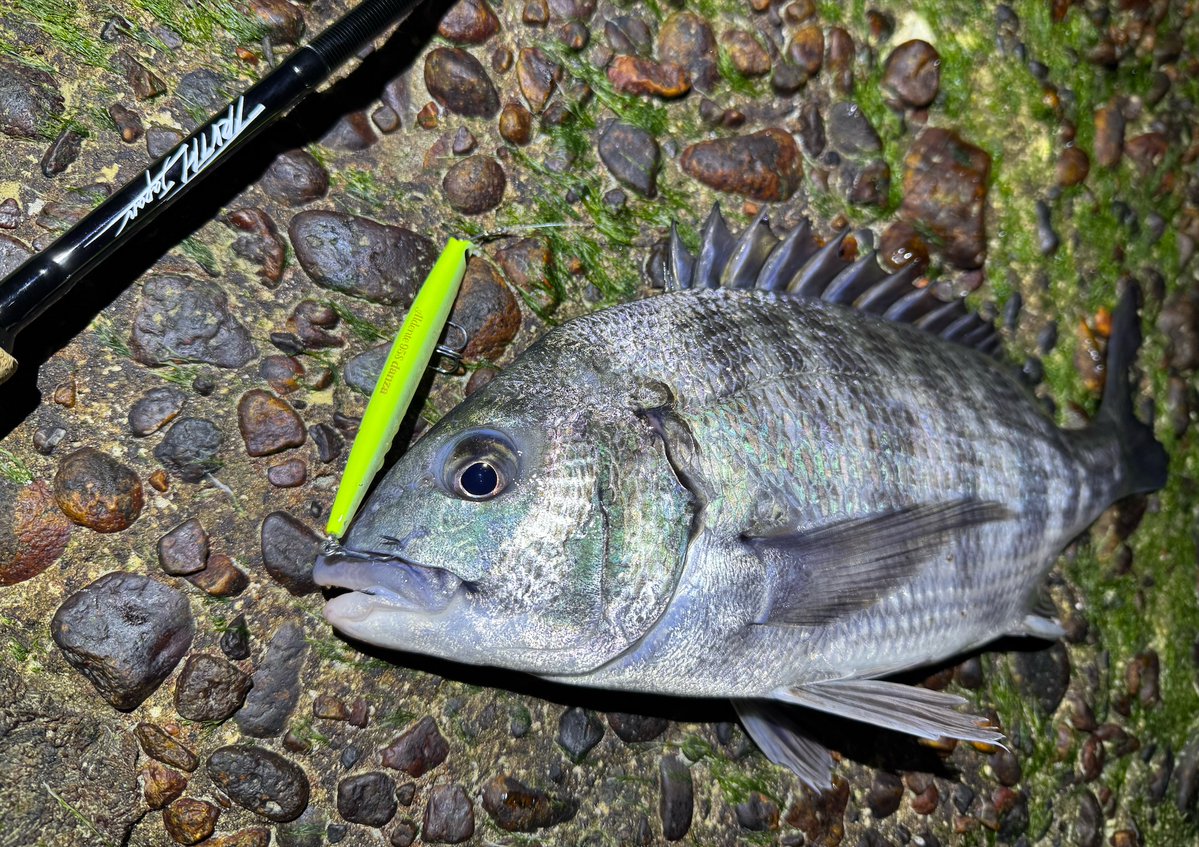 ima (@ima_ams) / Posts / X