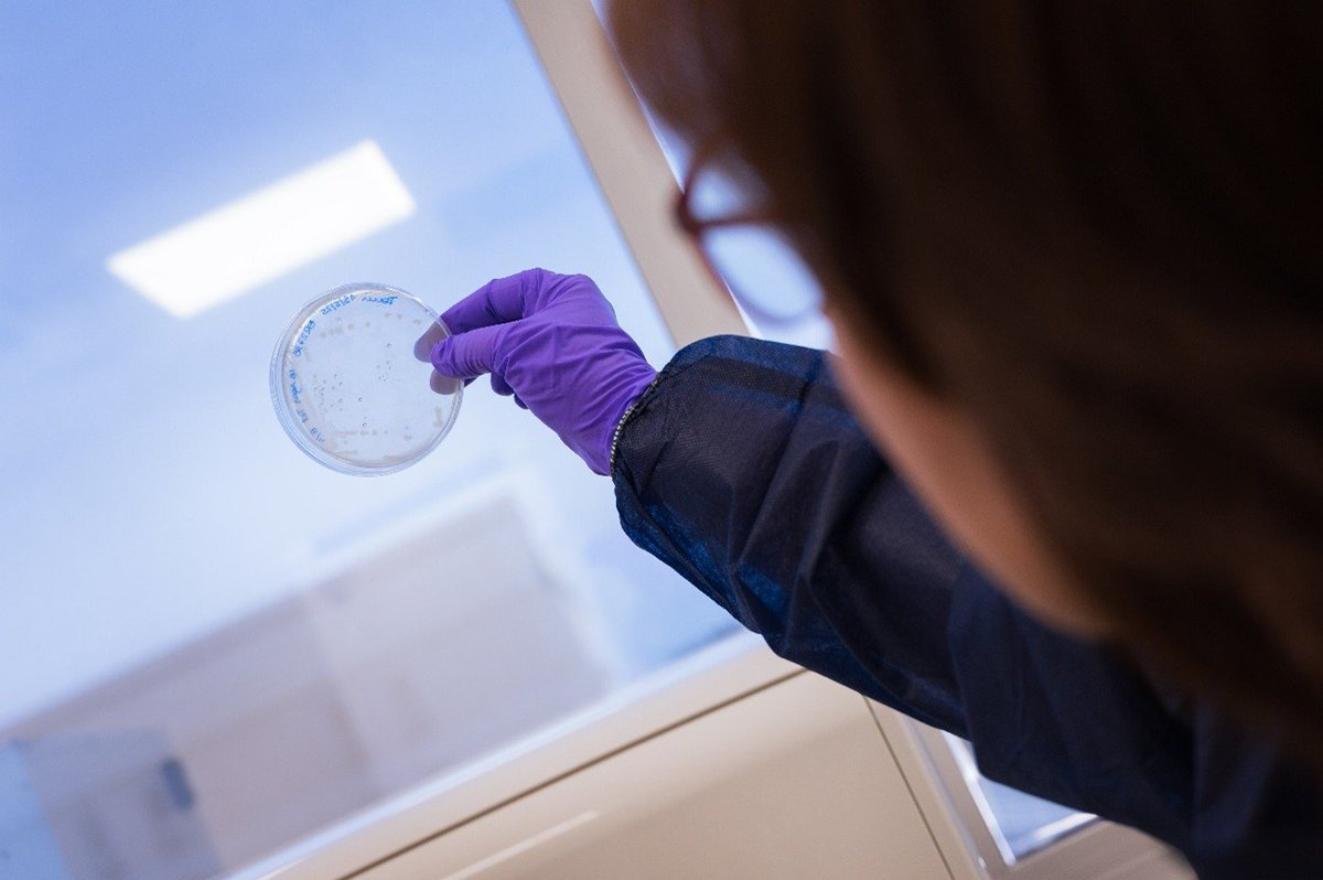 CSIC en Catalunya tweet media