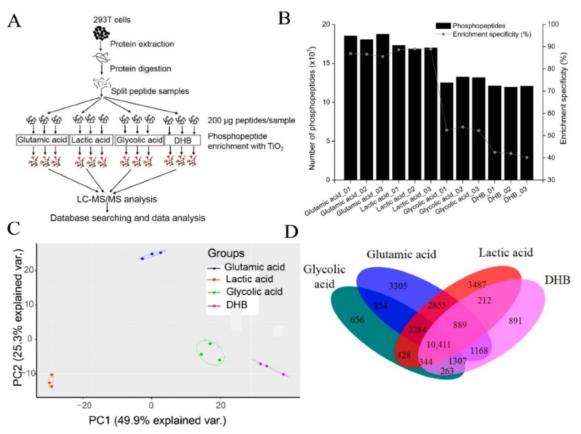 MetwareGlobal's tweet photo. New blog drop: TiO2 vs IMAC vs antibody-based phosphopeptide enrichment—what each method captures, where bias shows up, and how to choose for your sample + question. If phosphosite depth matters, this is your guide. Read here 👇 https://t.co/cXeIod5mj5 https://t.co/ryc4xEf7go