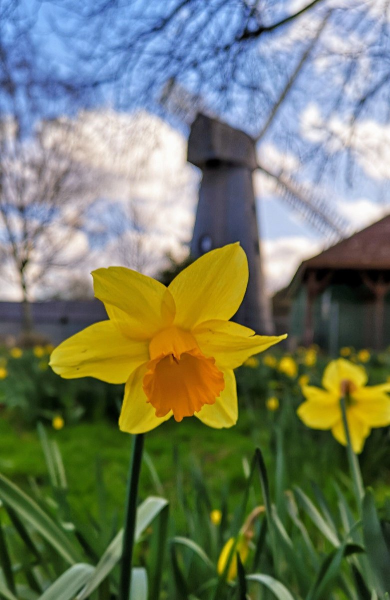 Brixton Windmill tweet media