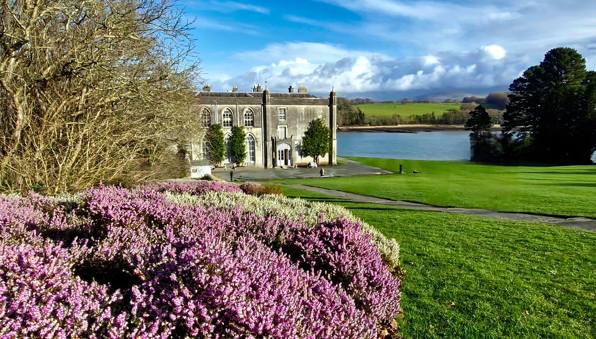 BleddynJones-Pearson tweet media