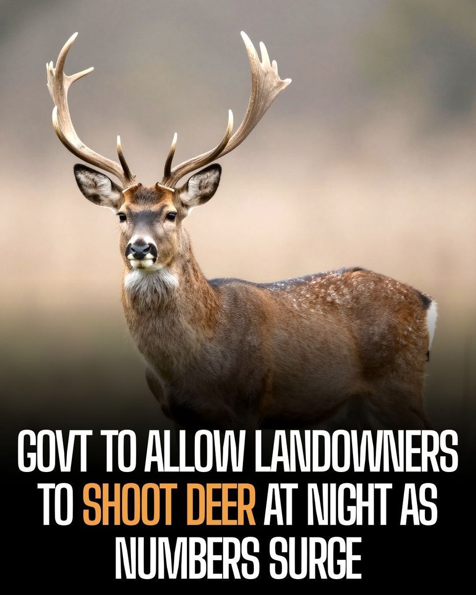 Protect the Wild tweet media