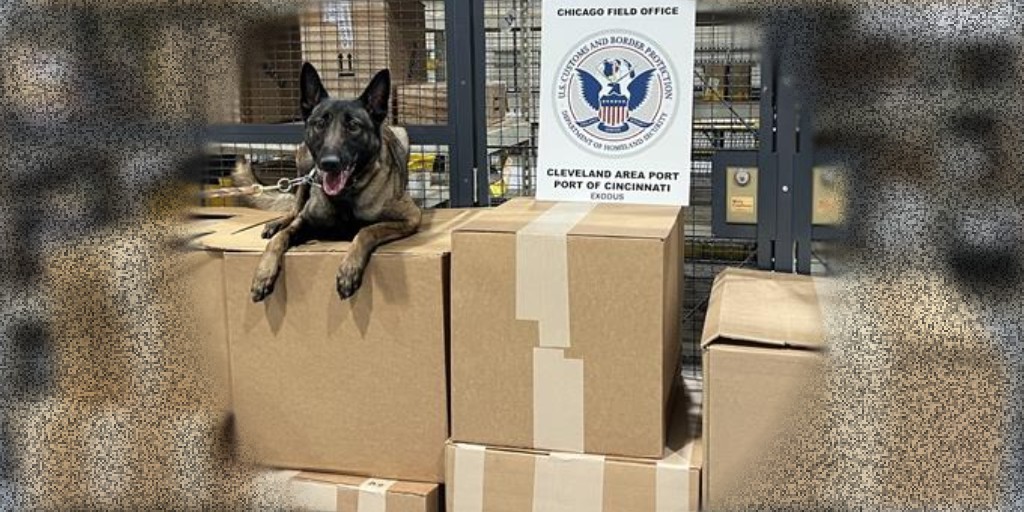 Director of Field Operations Chicago tweet media