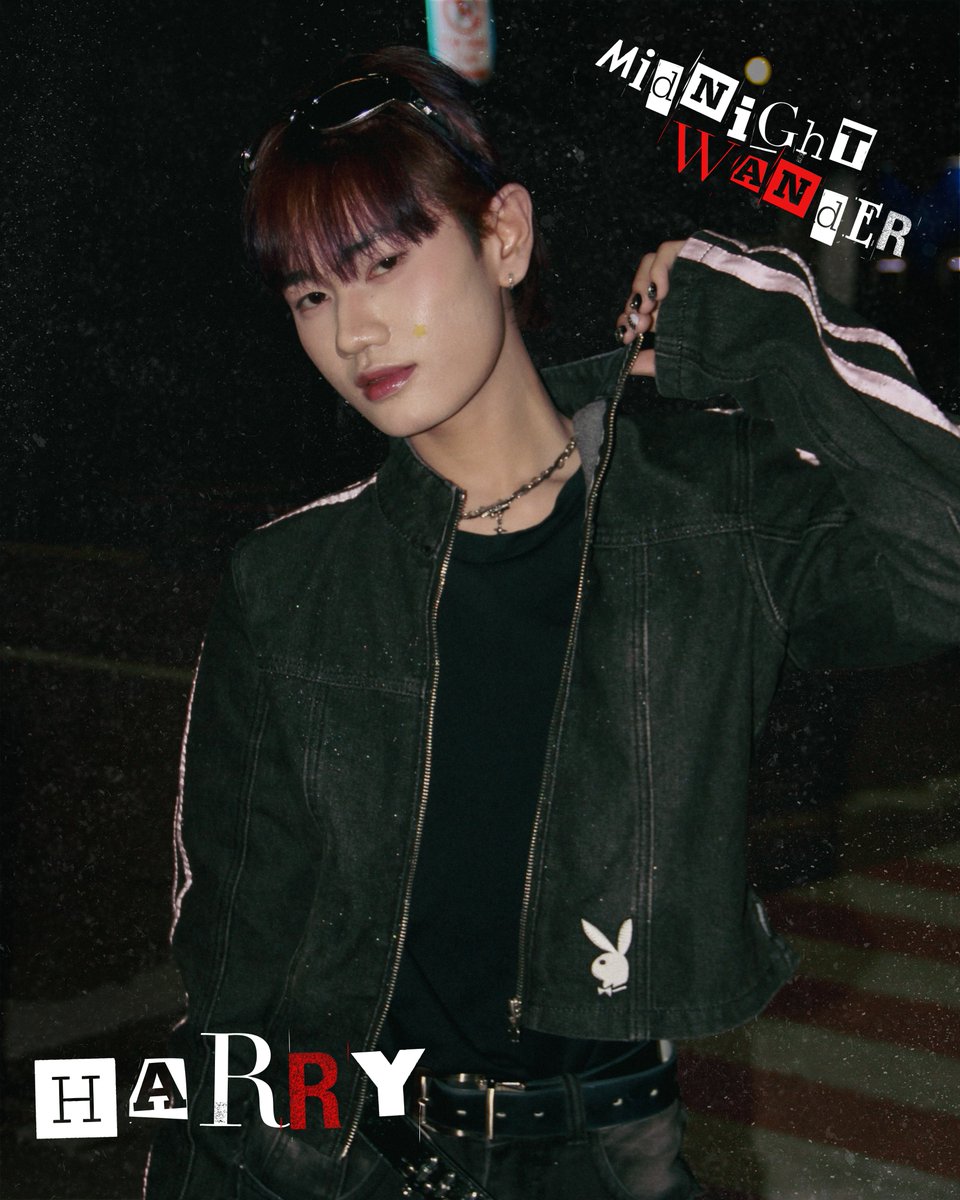 House Of WANs tweet media