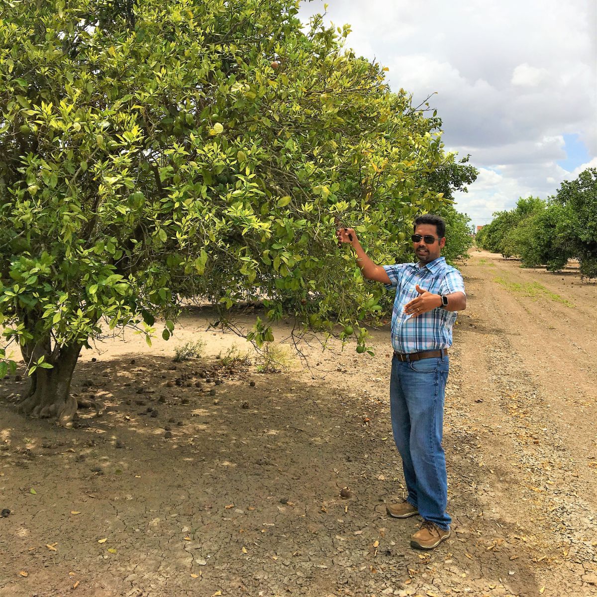 Foundation for Food & Agriculture Research (FFAR) tweet media