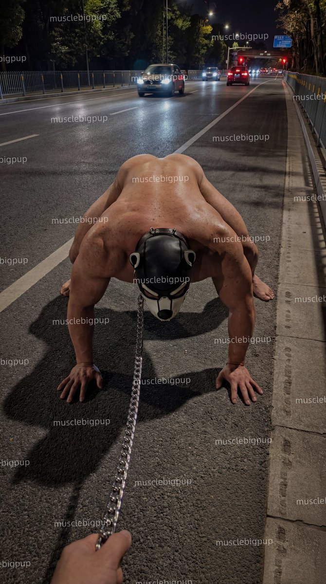 musclepup tweet media