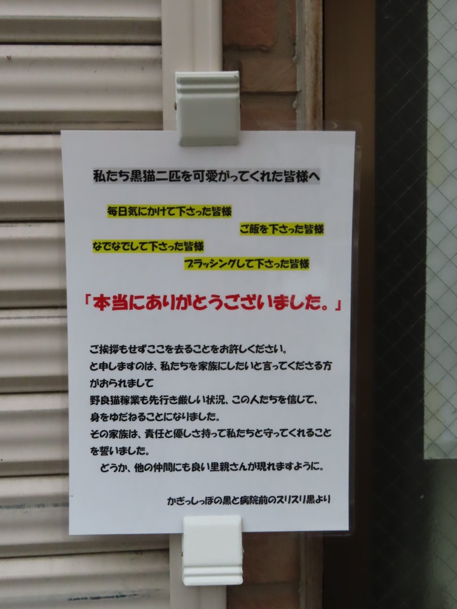 fujiyama (@fuji_express) / Posts / X