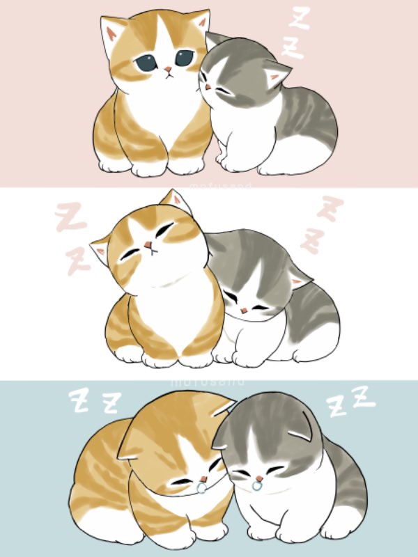 ぢゅの🐈 tweet media
