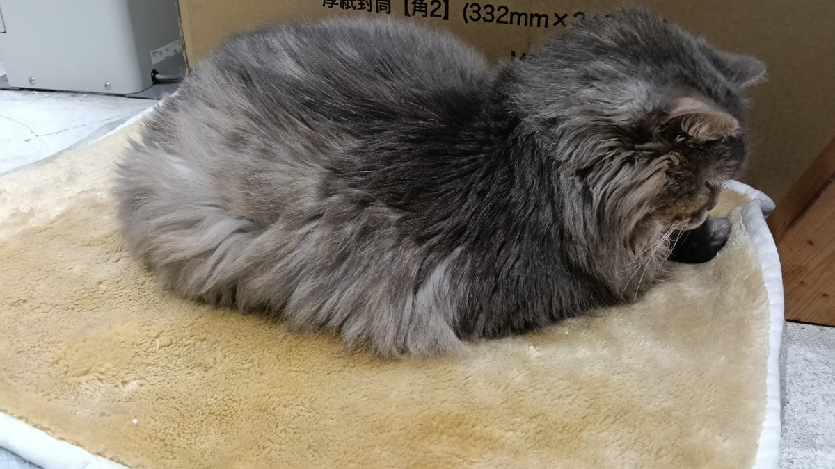 EditNet Printeq tweet media