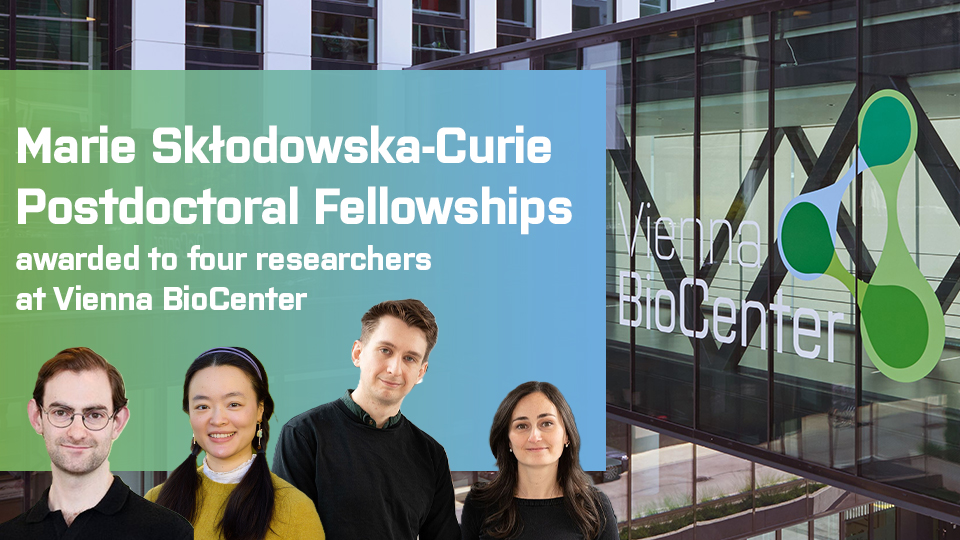 Vienna BioCenter tweet media