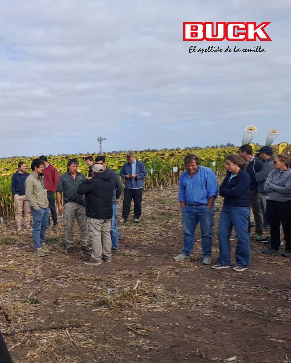 Buck Semillas tweet media