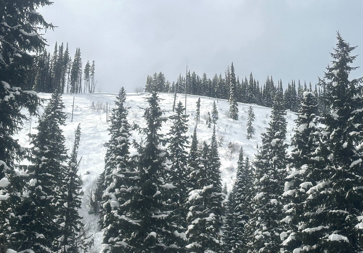 Riders continue to report signs that the snowpack is not to be trusted. Winds will keep drifting snow into fresh, hard slabs. Although that problem can be large enough to bury and injure you in some parts of the forecast area, the bigger issue is what lies beneath.
