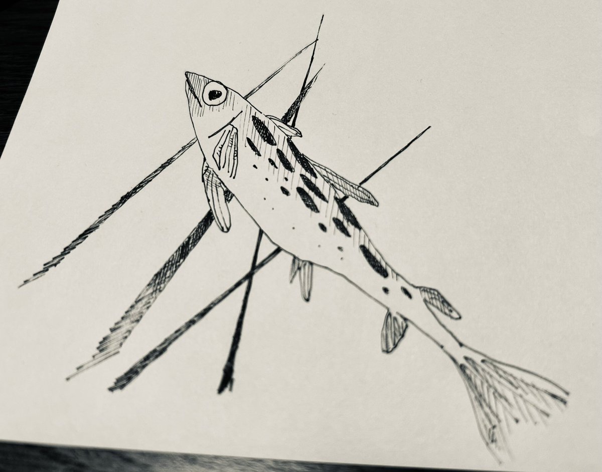 オオタケ tweet media