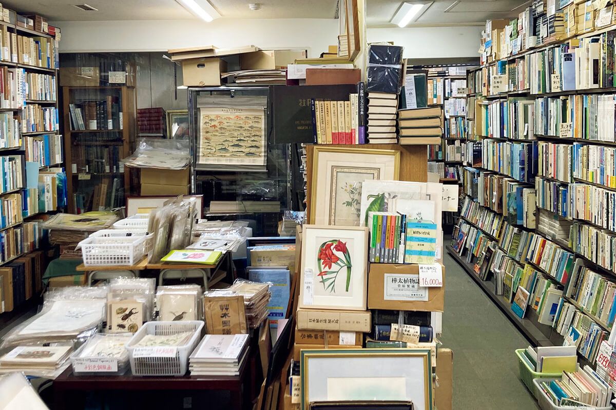 Ill NEAPOLIS / Studio　限定500部　平野太呂