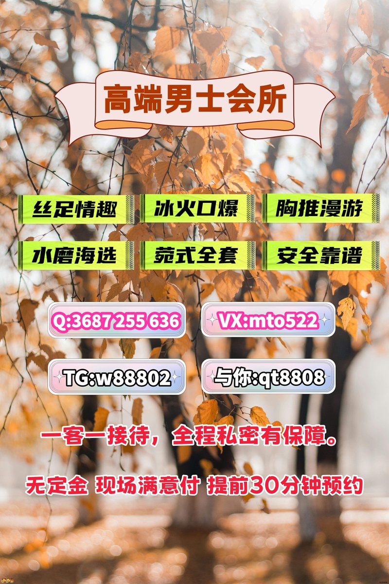 BoppreBren7502's tweet image. 广州资源 海珠 白云