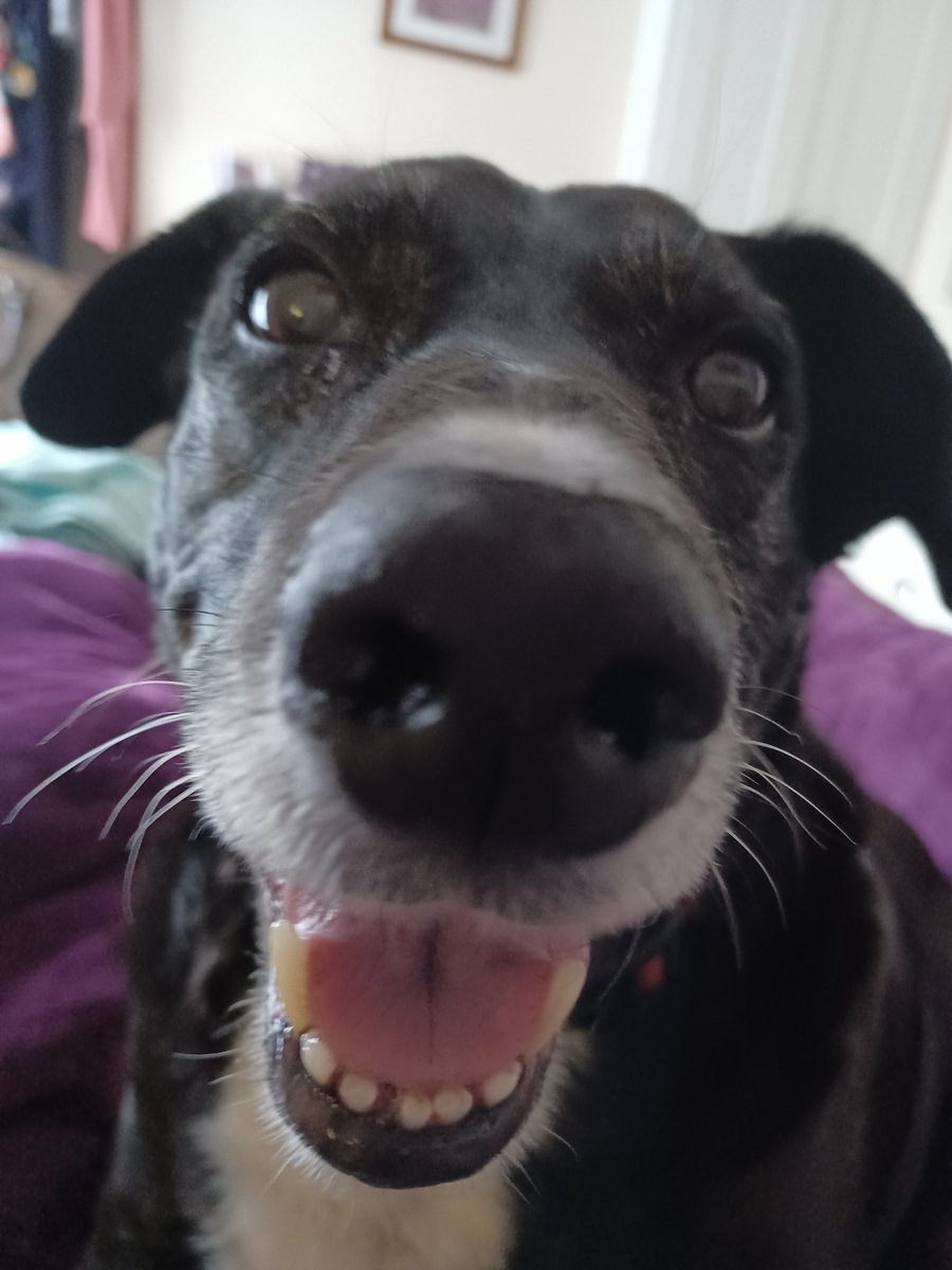 Jane at Provoco tweet media