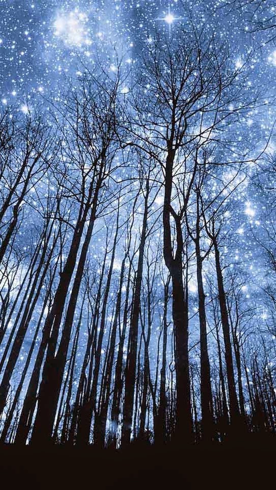 César Hernando Castellanos Orozco tweet media