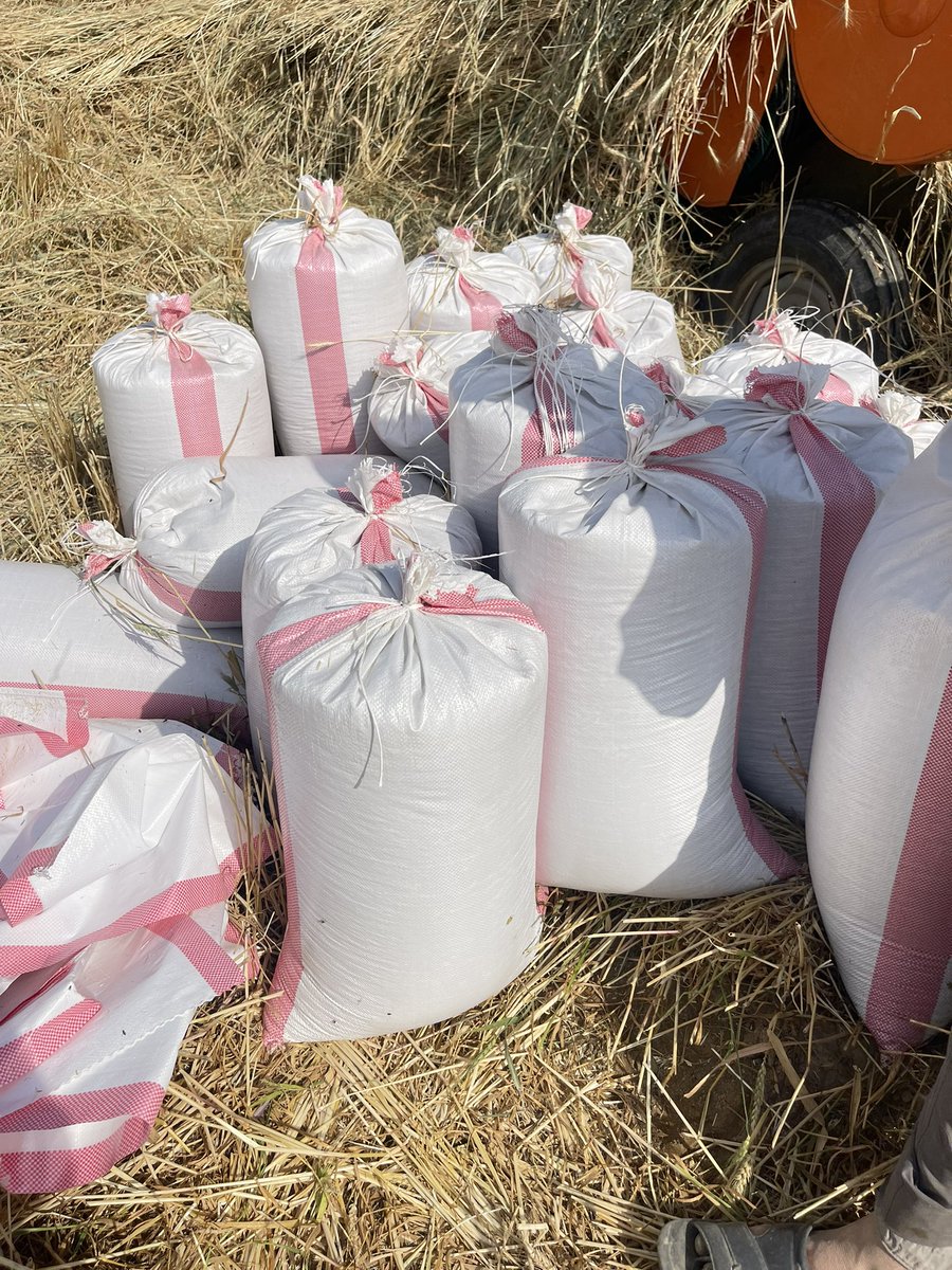 صالـح الٓ منصــور tweet media