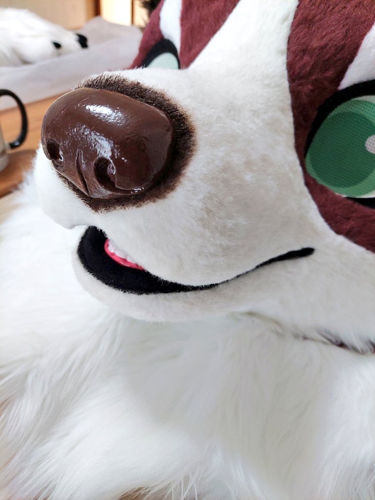 Post by Turquo cabbit🐰 on X: 👀🐶🔊