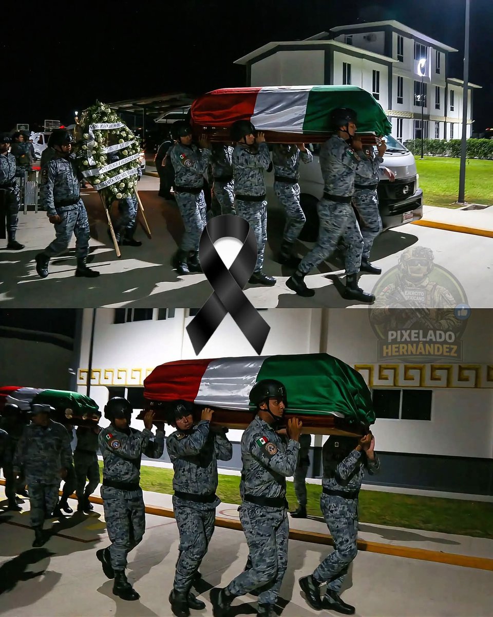 EJÉRCITO, FUERZA AÉREA Y GUARDIA NACIONAL México tweet media