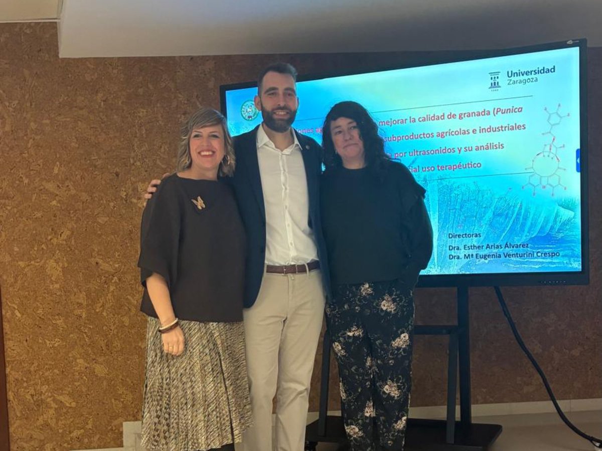 CITA Aragón tweet media