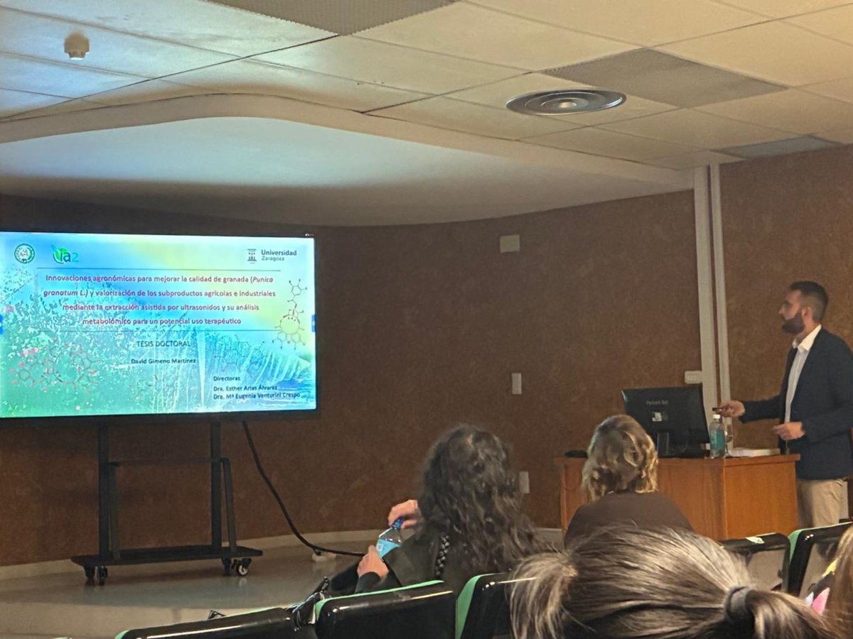 CITA Aragón tweet media