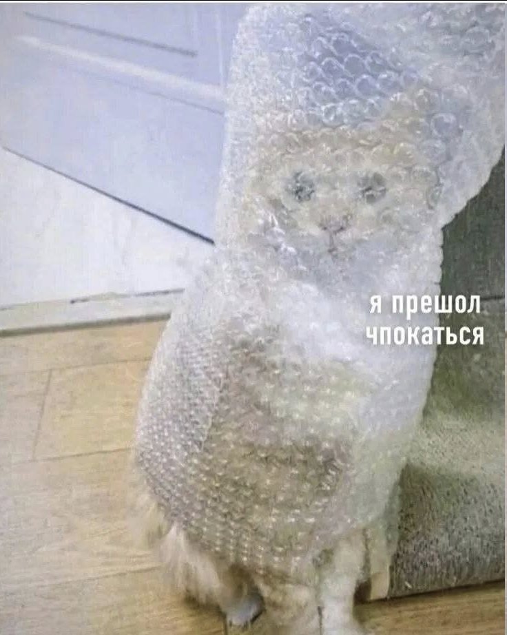 КсZения tweet media