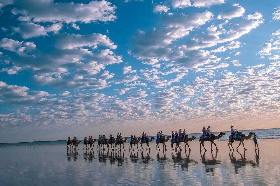 César Hernando Castellanos Orozco tweet media