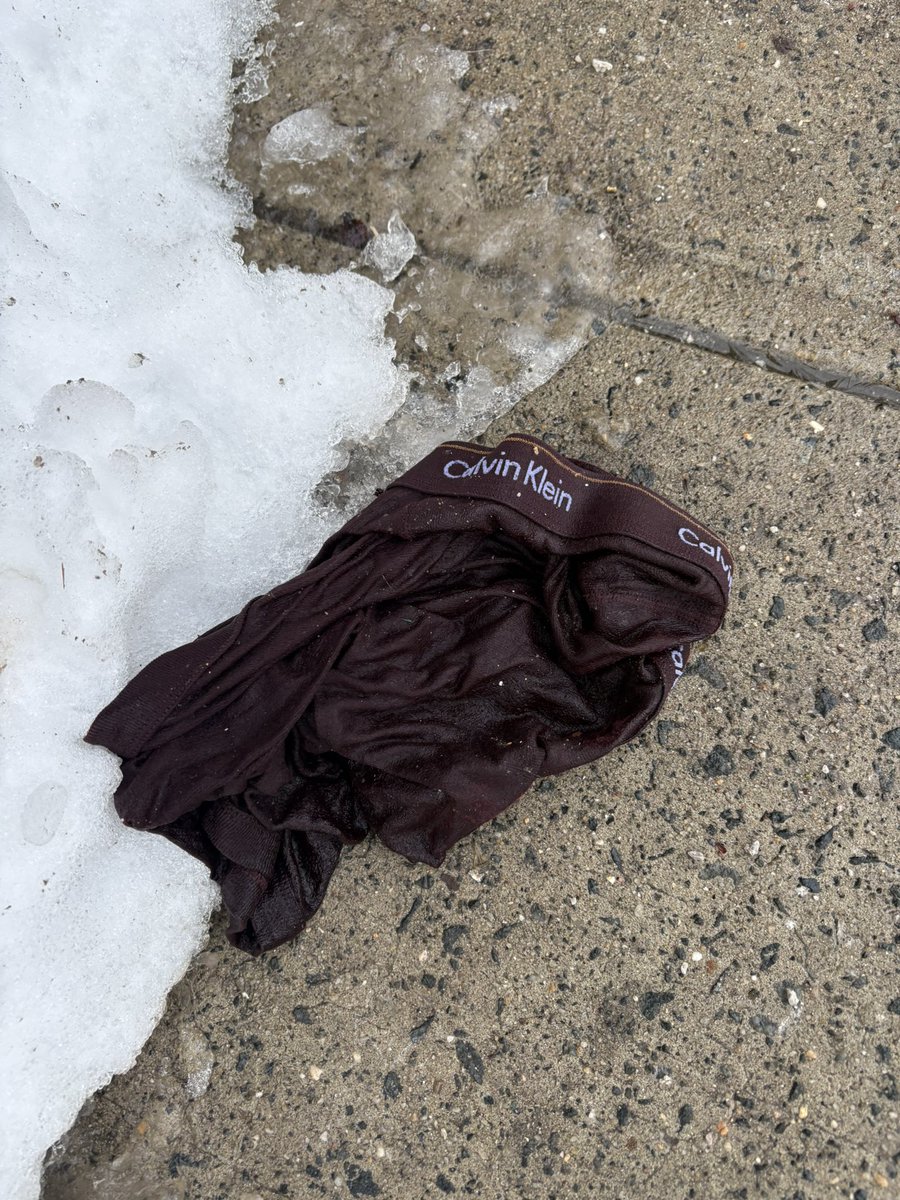 Doug 🇺🇸🗽🐘⚖️✡️🇮🇱🎢 🎶 tweet media