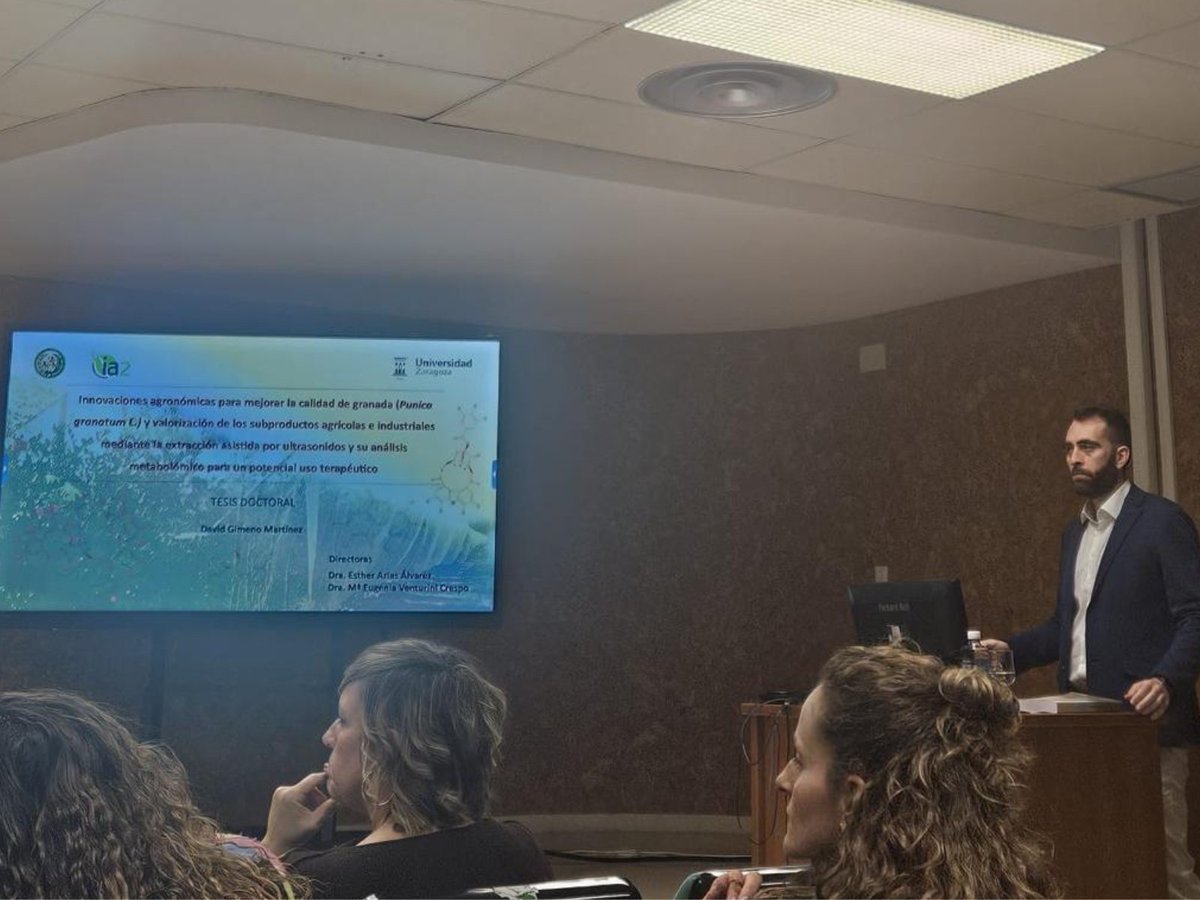 CITA Aragón tweet media