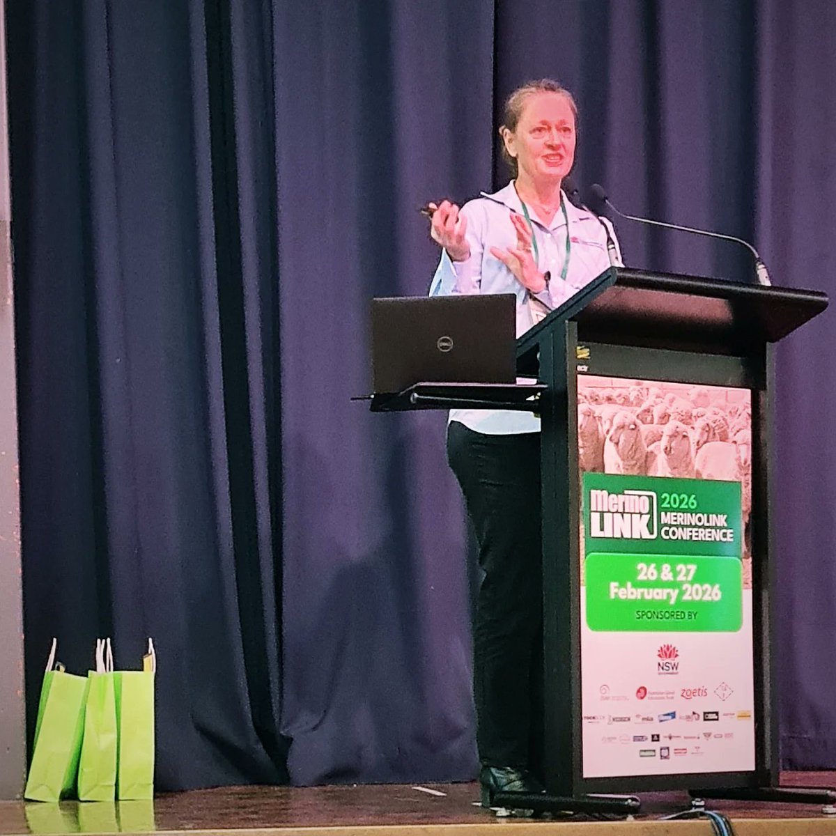 MerinoLink Limited tweet media