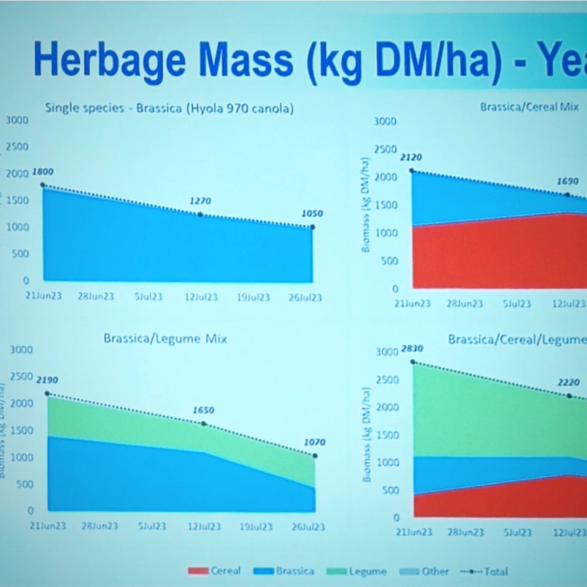 MerinoLink Limited tweet media