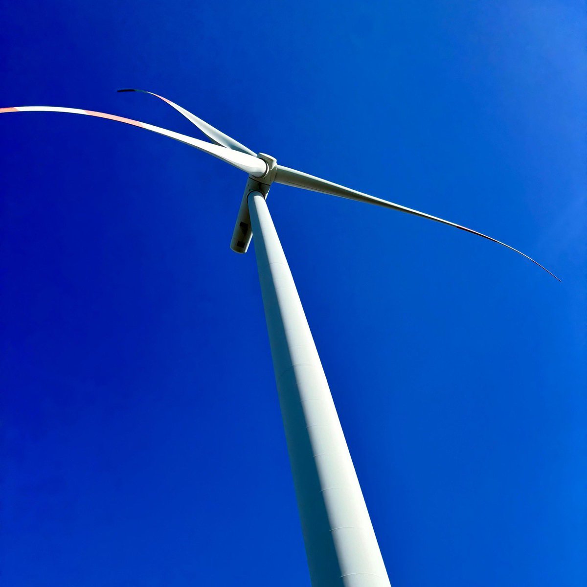 Sibylle Katharina Sorg tweet media