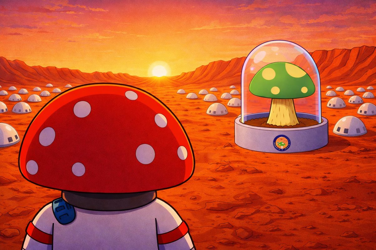 m2m_main's tweet photo. Rise &amp; Shine 🍄 https://t.co/g2N3XeFU8H