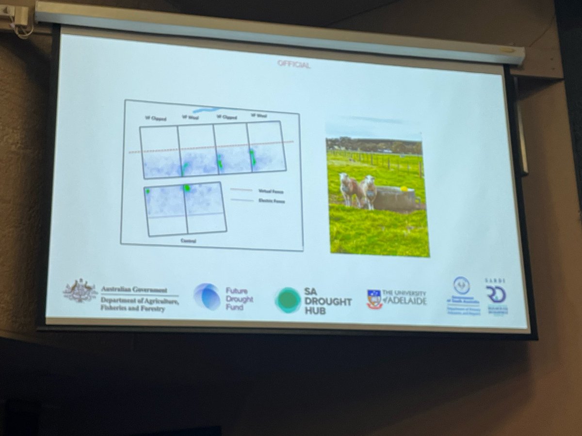 MerinoLink Limited tweet media