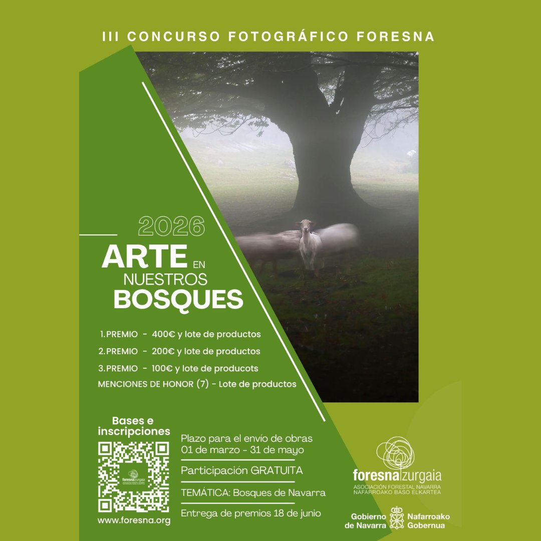 Foresna Zurgaia tweet media