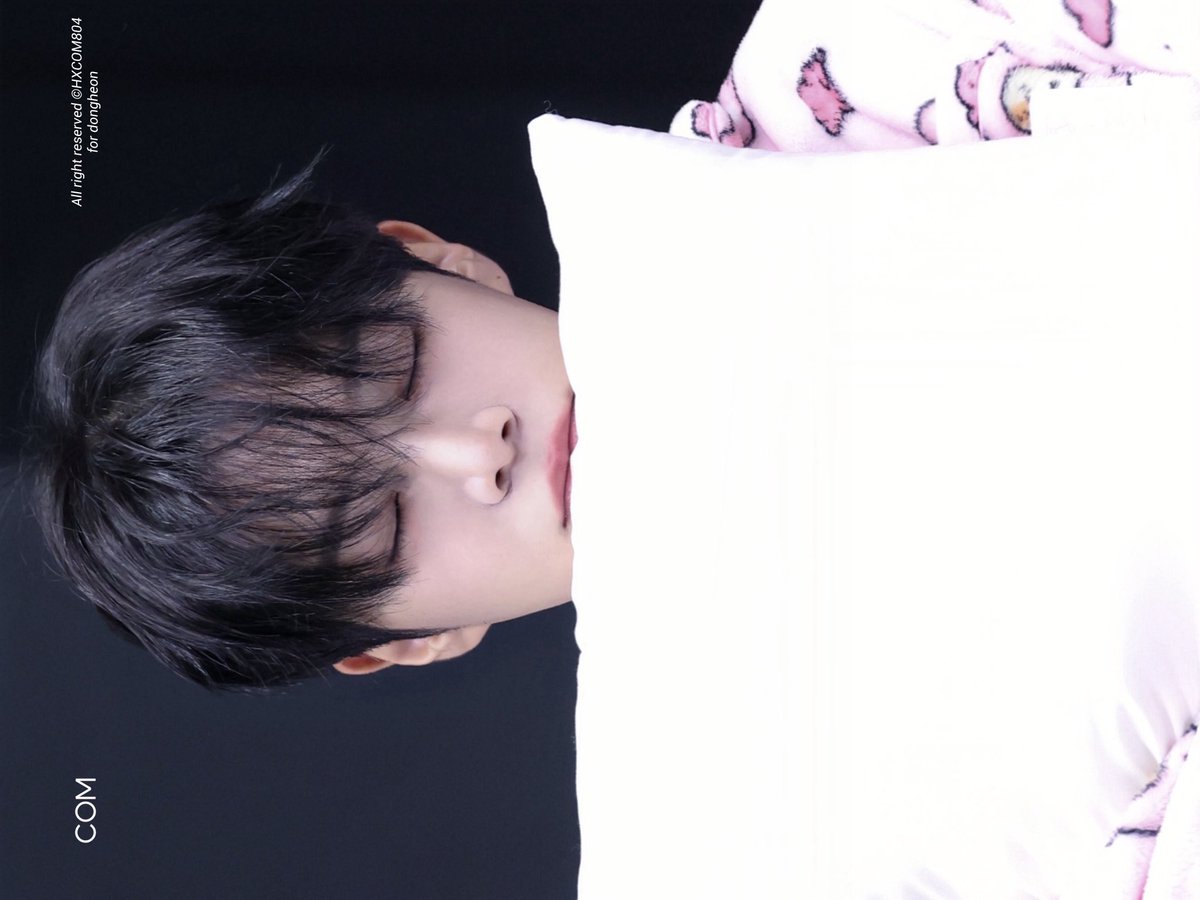 콤이.. tweet media