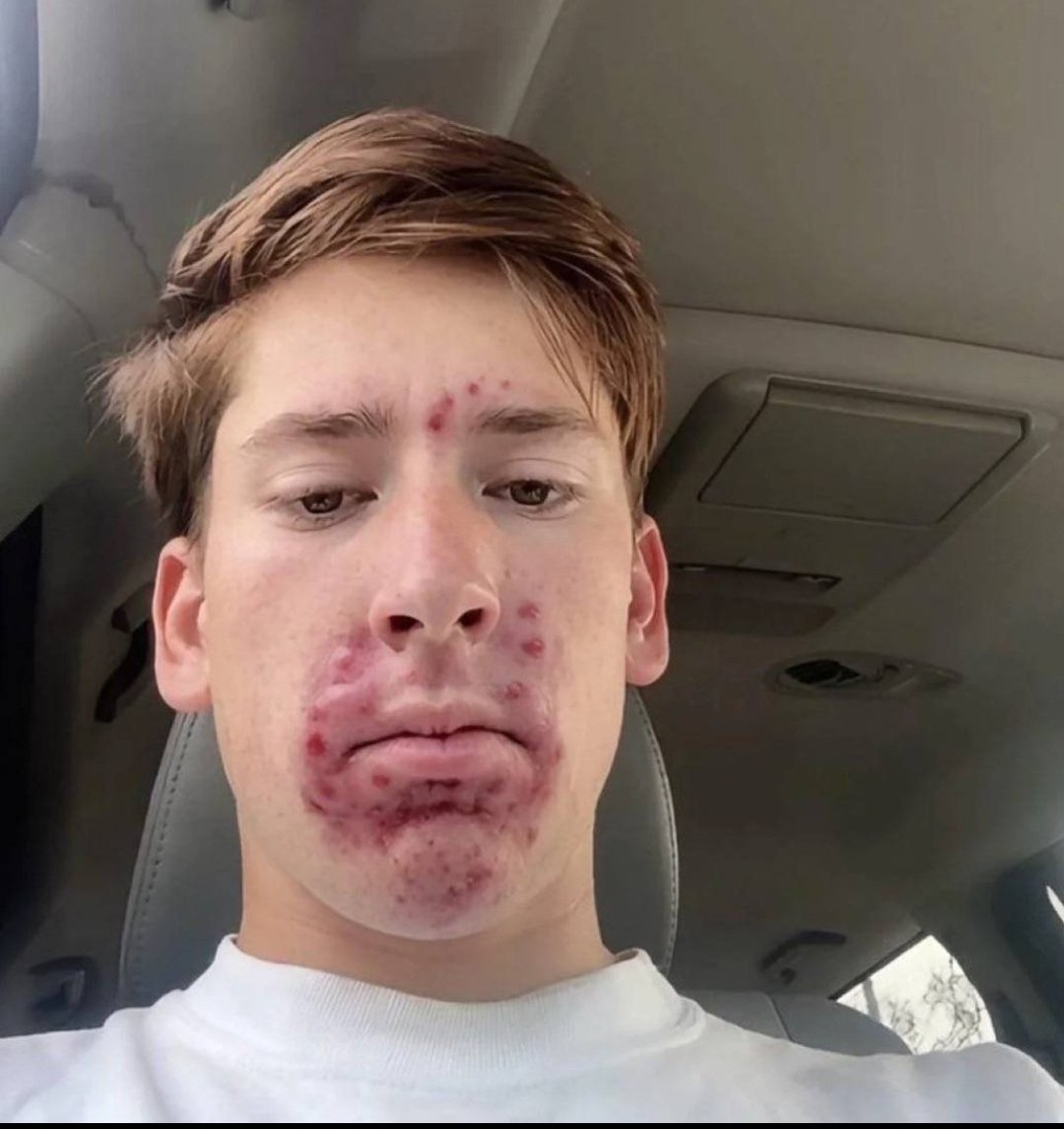 Your Daily Pepe tweet media