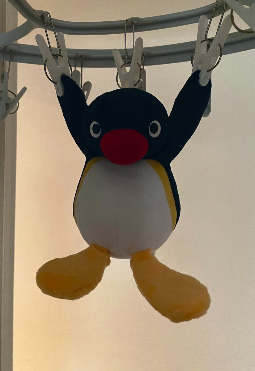 WifeEdits's tweet photo. 洗って干したら可哀想なことになってる。 https://t.co/YBIKKto9eX